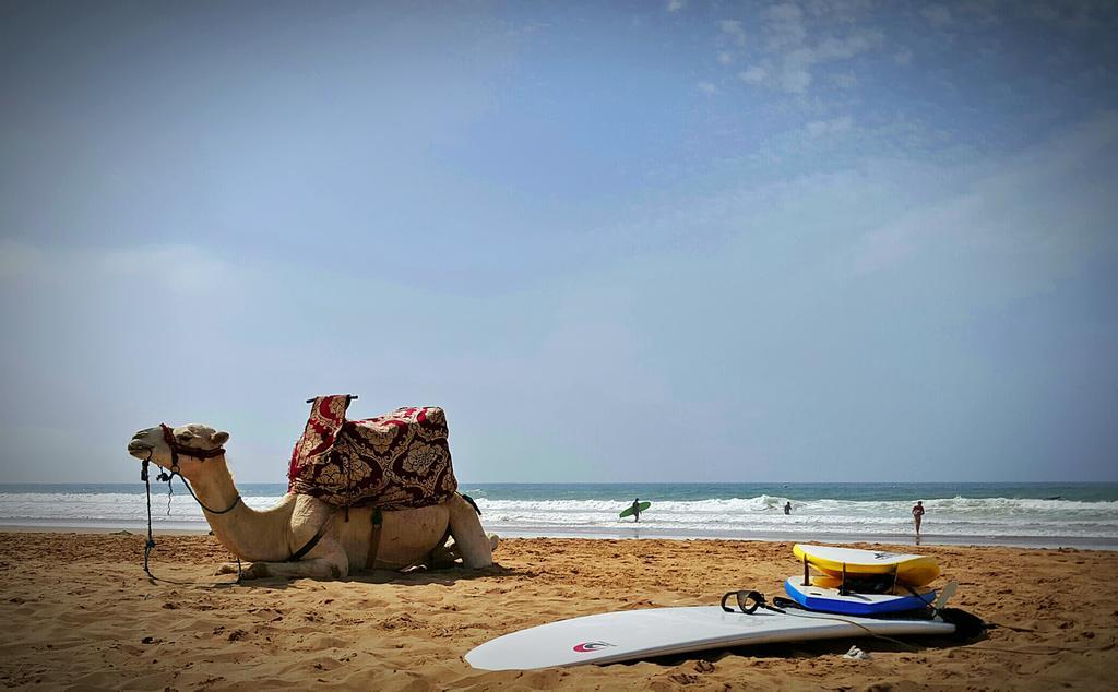 Zen Surf Beach House Hotell Aourir Eksteriør bilde